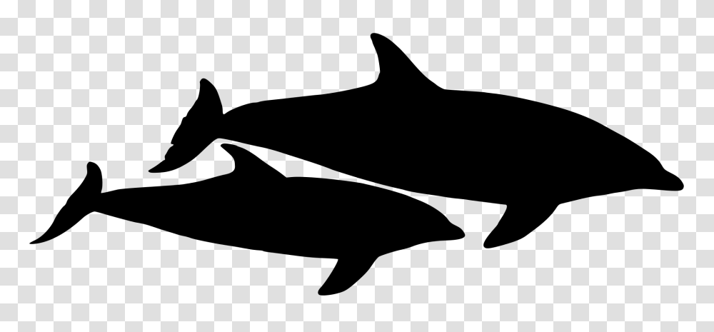 Dolphin, Animals, Gray, World Of Warcraft Transparent Png
