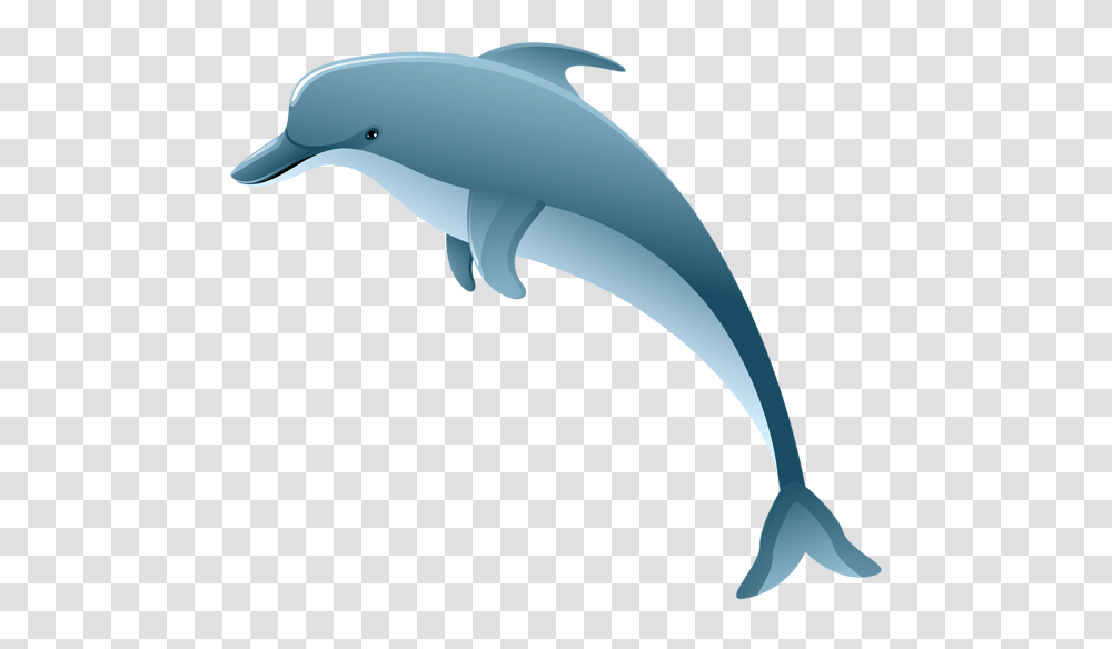 Dolphin, Animals, Mammal, Sea Life, Hammer Transparent Png