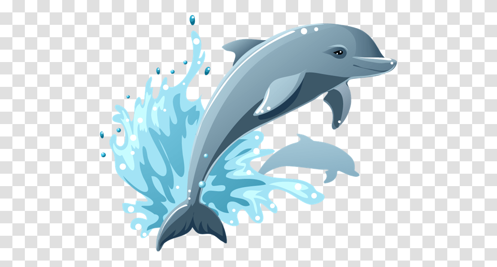 Dolphin, Animals, Mammal, Sea Life, Helmet Transparent Png