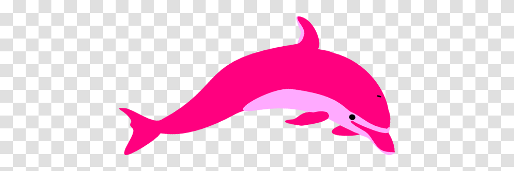 Dolphin, Animals, Mammal, Sea Life, Whale Transparent Png