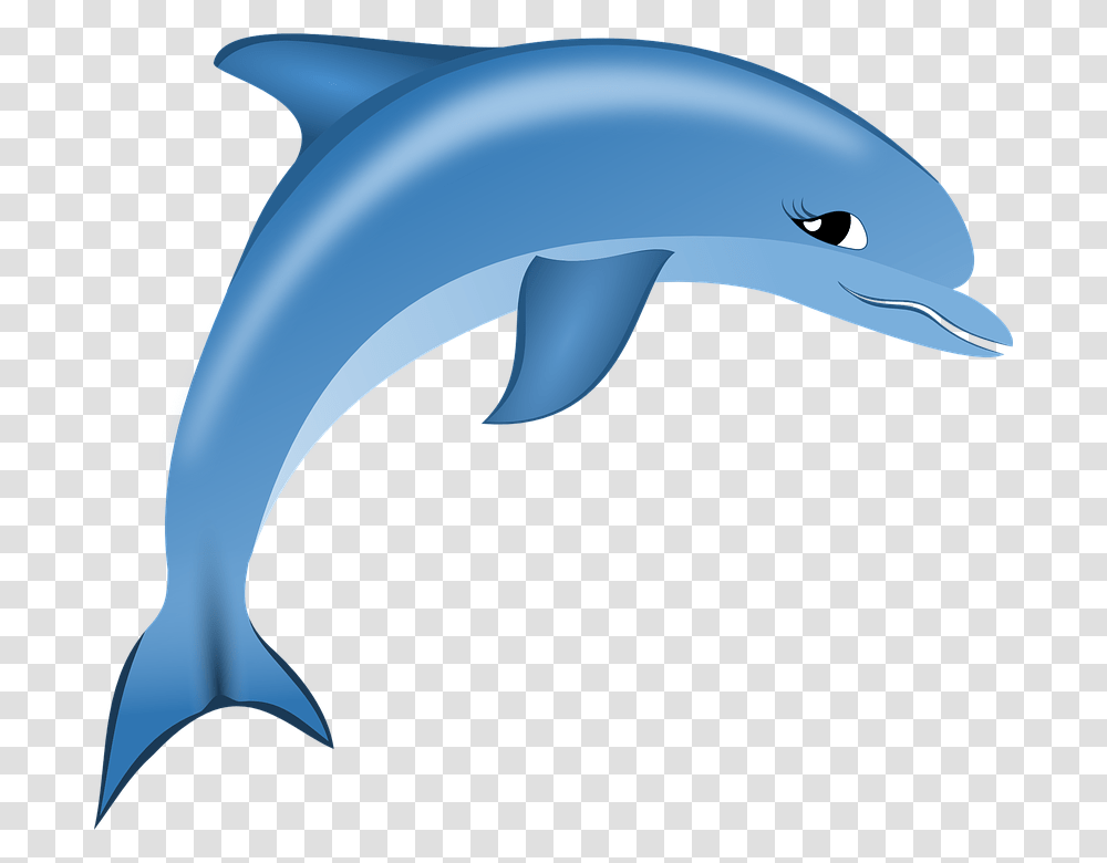 Dolphin, Animals, Sea Life, Mammal Transparent Png
