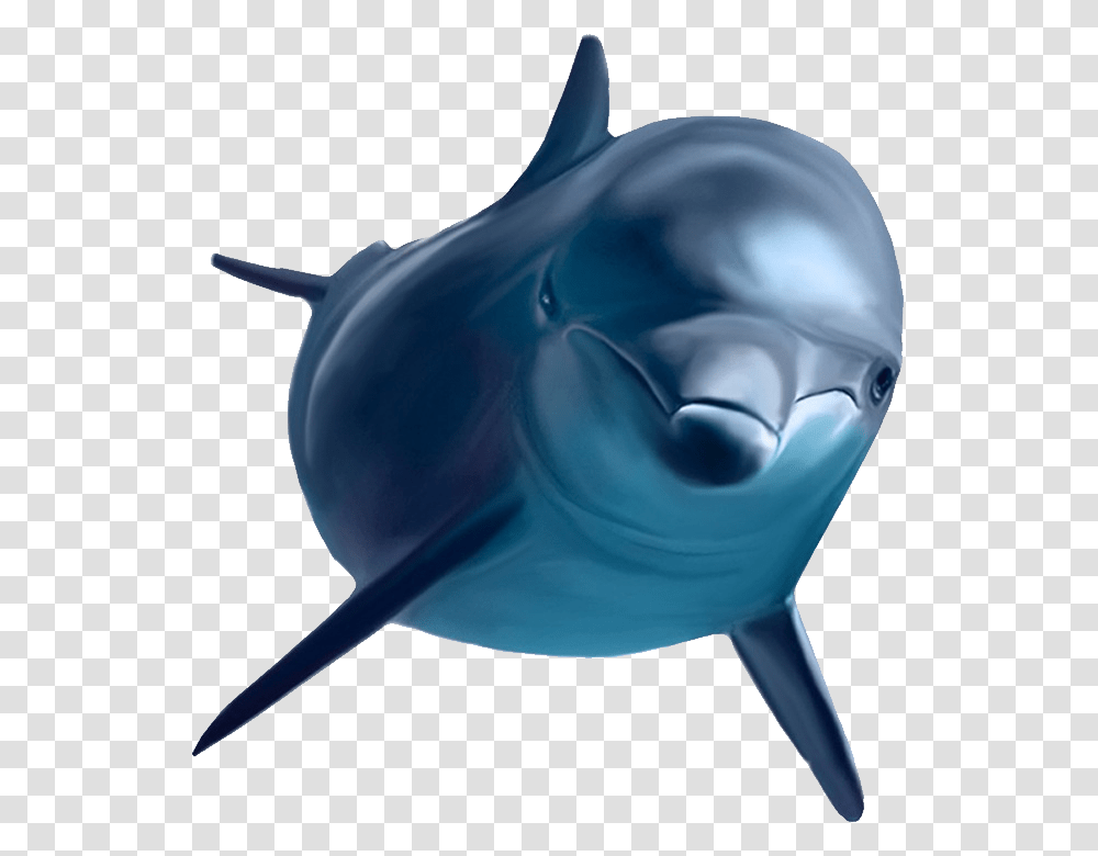 Dolphin, Animals, Sea Life, Mammal, Whale Transparent Png