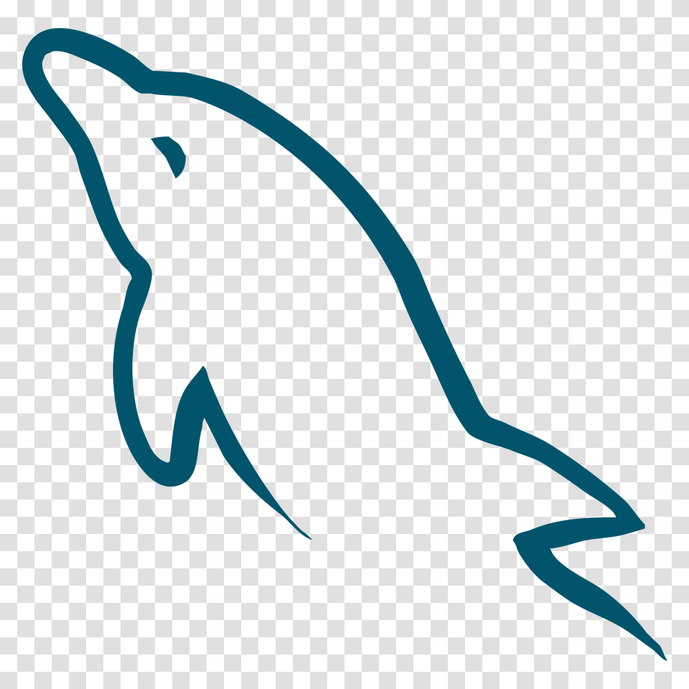 Dolphin, Animals, Mammal, Sea Life Transparent Png