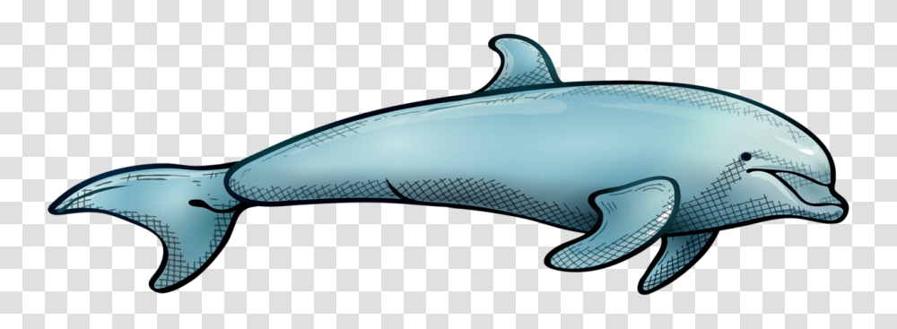 Dolphin, Animals, Whale, Mammal, Sea Life Transparent Png