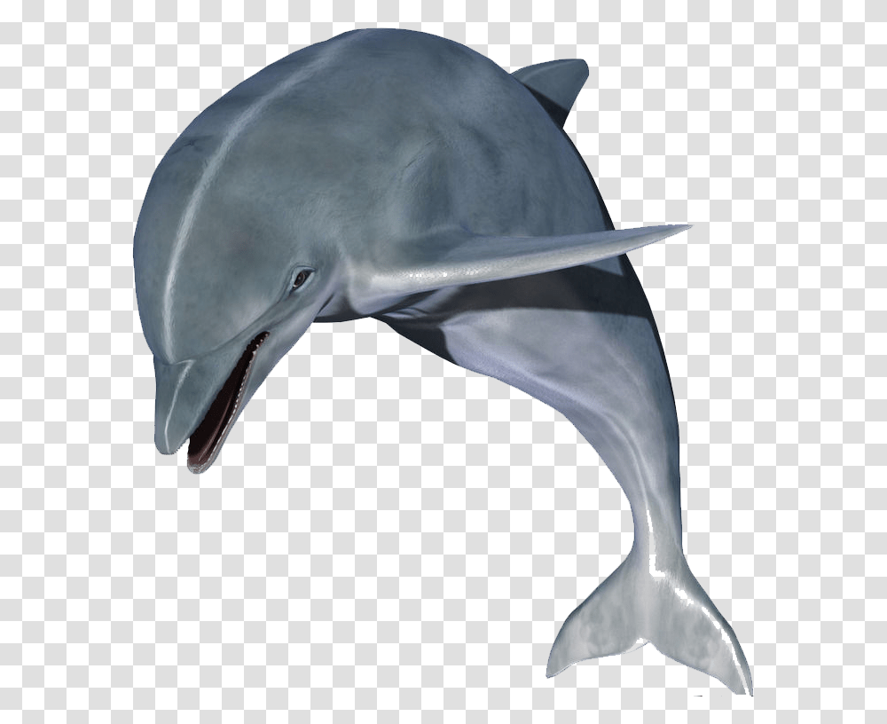 Dolphin Clip Art High Resolution Dolphin Hd, Mammal, Sea Life, Animal, Blow Dryer Transparent Png