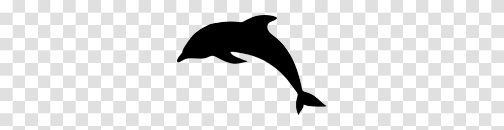 Dolphin Clip Art Outline, Gray, World Of Warcraft Transparent Png