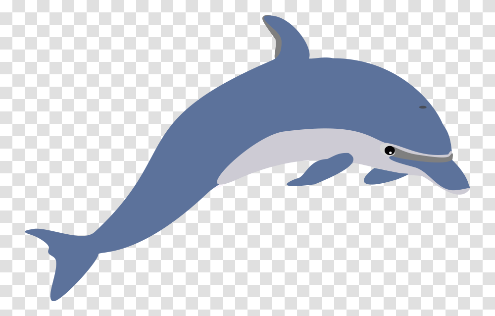 Dolphin Clipart Animal, Mammal, Sea Life, Shark, Fish Transparent Png