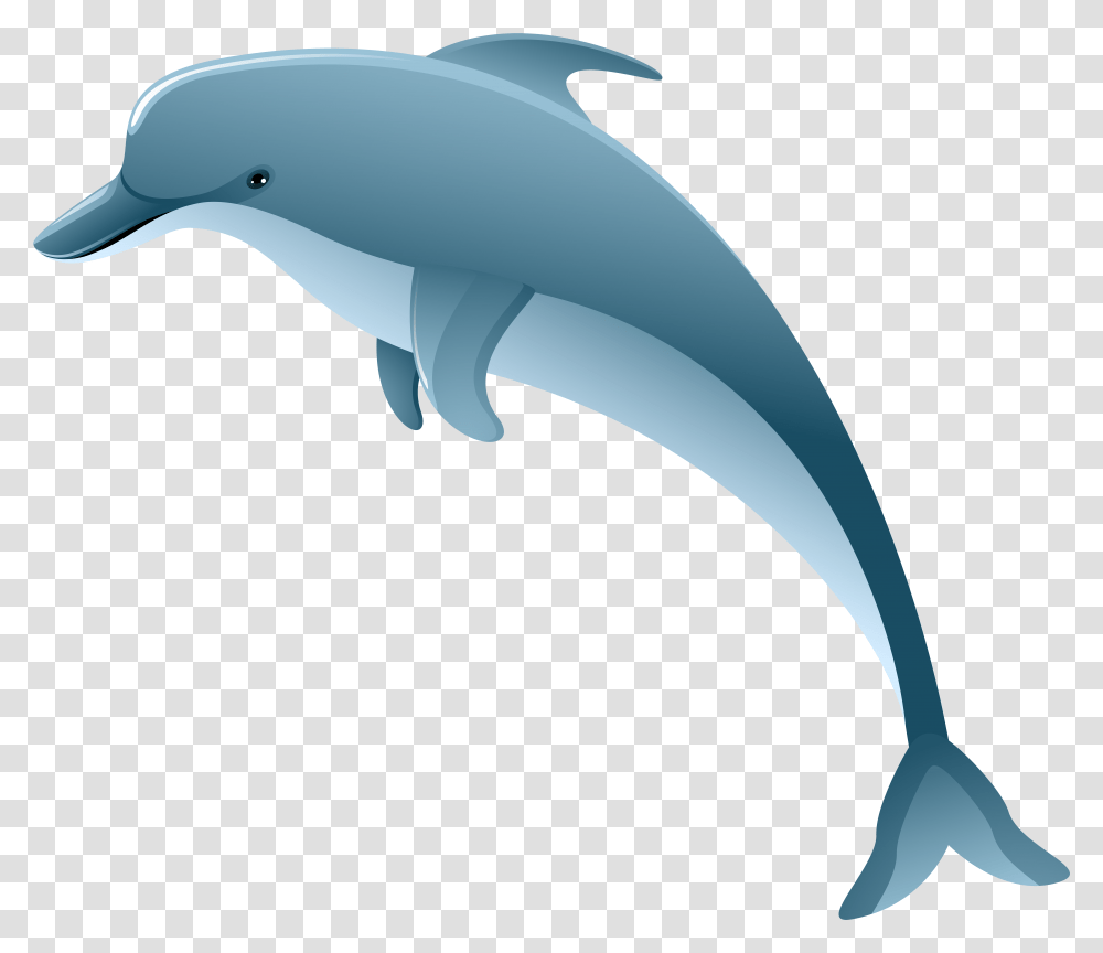 Dolphin Clipart Background, Sea Life, Animal, Mammal, Hammer Transparent Png