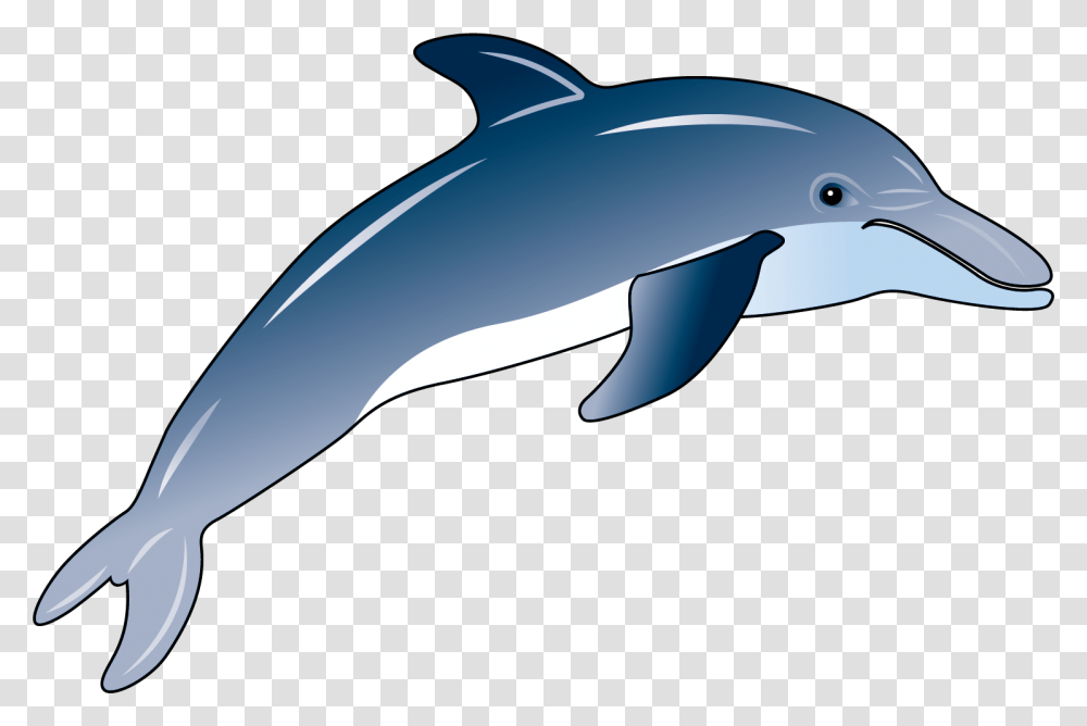 Dolphin Clipart Bottlenose Dolphin Clipart, Mammal, Animal, Sea Life Transparent Png