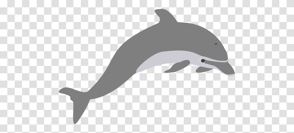 Dolphin Clipart Dolphin Outline Grey Clip Art, Mammal, Animal, Sea Life, Baseball Cap Transparent Png