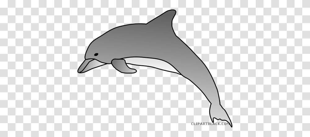 Dolphin Clipart Download Dolphin Clipart, Animal, Sea Life, Mammal, Bird Transparent Png