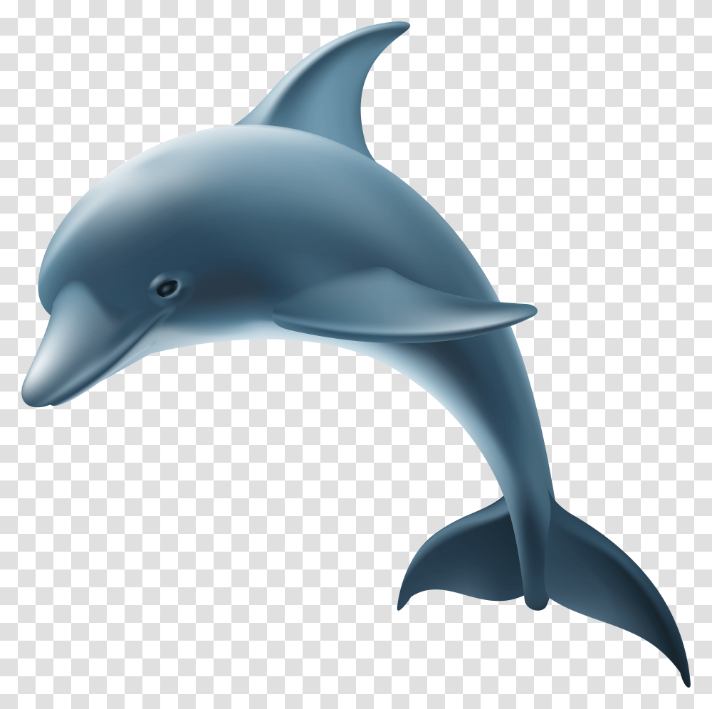 Dolphin Clipart Free Background, Mammal, Sea Life, Animal, Bird Transparent Png