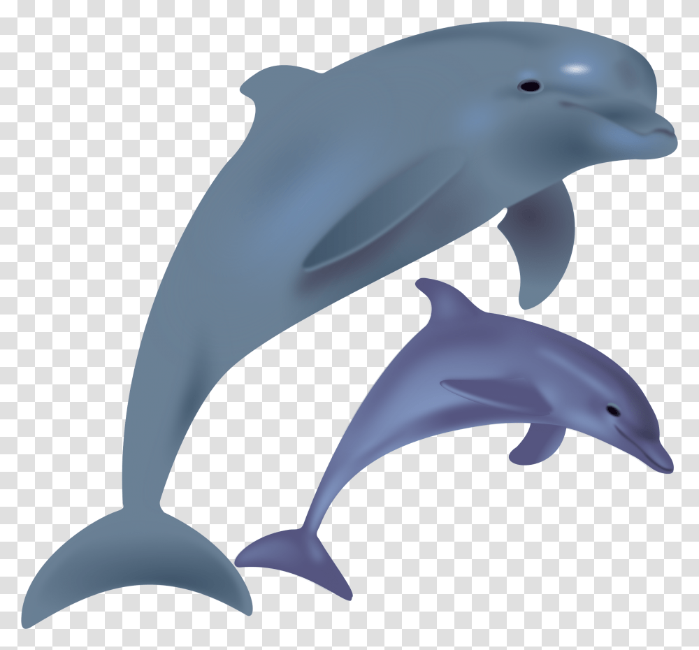 Dolphin Clipart, Mammal, Sea Life, Animal, Bird Transparent Png