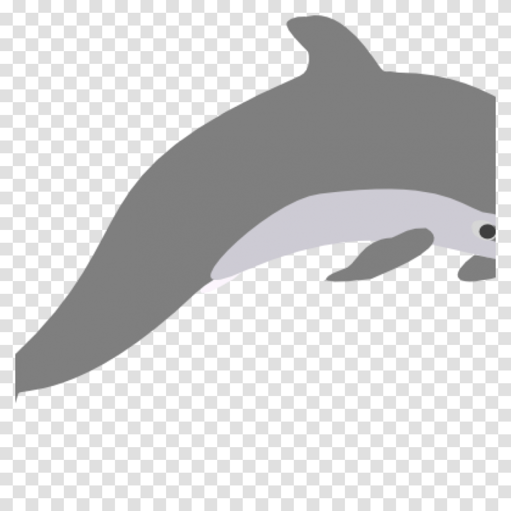 Dolphin Clipart Outline Grey Clip Art, Sea Life, Animal, Mammal Transparent Png