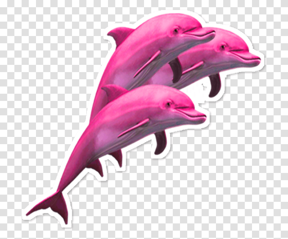Dolphin Clipart Pink Dolphin, Mammal, Sea Life, Animal, Bird Transparent Png