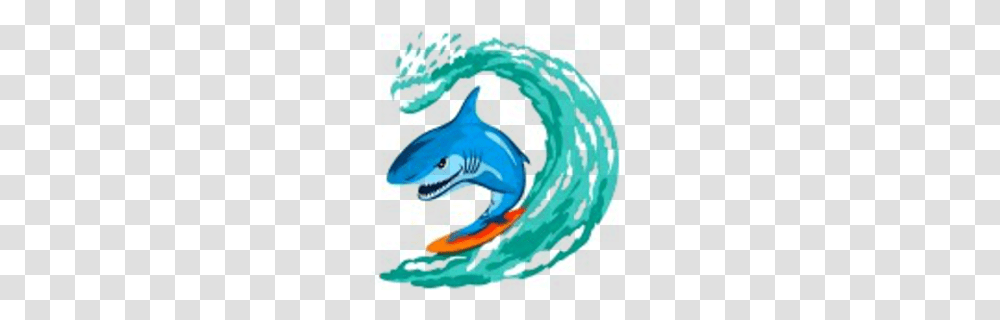 Dolphin Clipart, Sea Life, Animal, Nature Transparent Png