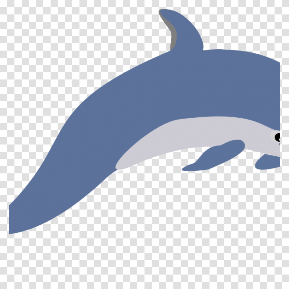 Dolphin Clipart Summer Clipart House Clipart Online Download, Mammal, Animal, Sea Life, Shark Transparent Png