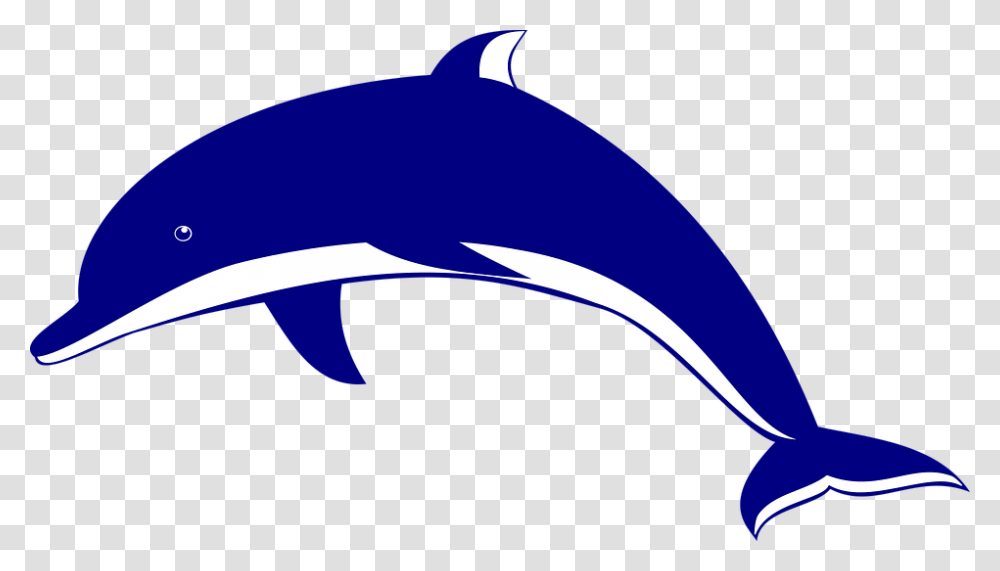 Dolphin Dolphin Clipart, Sea Life, Animal, Mammal, Baseball Cap Transparent Png