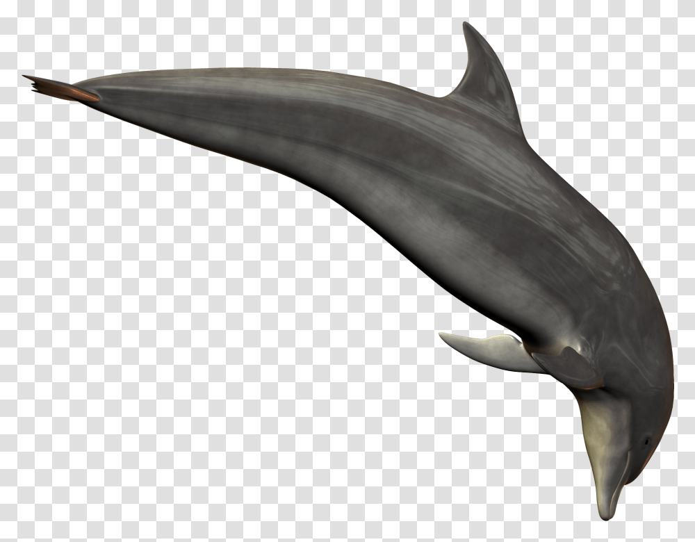 Dolphin Dolphin, Sea Life, Animal, Mammal, Axe Transparent Png