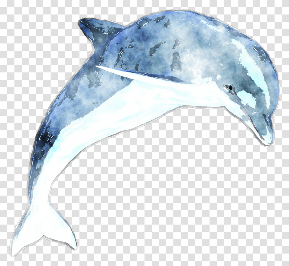 Dolphin Dolphin Watercolor, Mammal, Sea Life, Animal, Shark Transparent Png