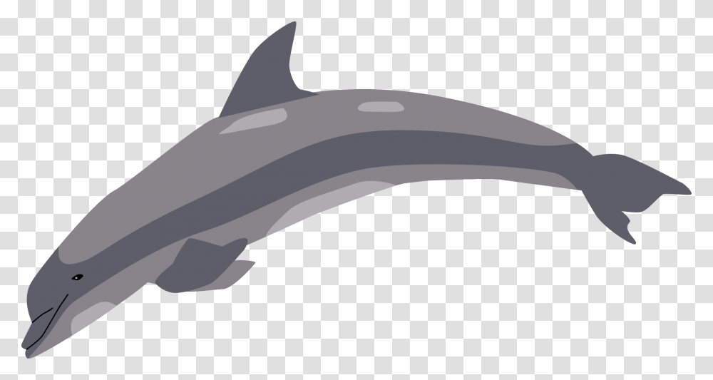 Dolphin Download, Sea Life, Animal, Mammal, Axe Transparent Png