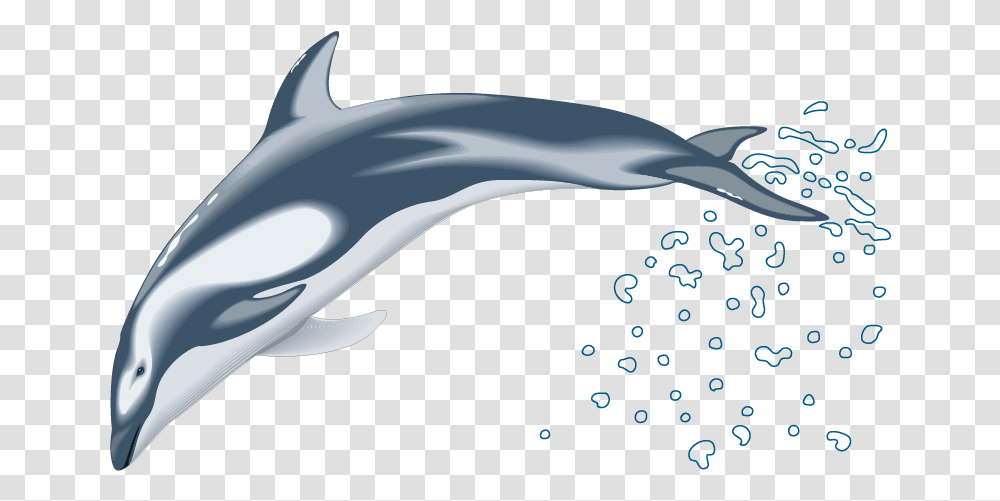 Dolphin Drawing Clip Art Dolphin Vector, Mammal, Sea Life, Animal, Bird Transparent Png