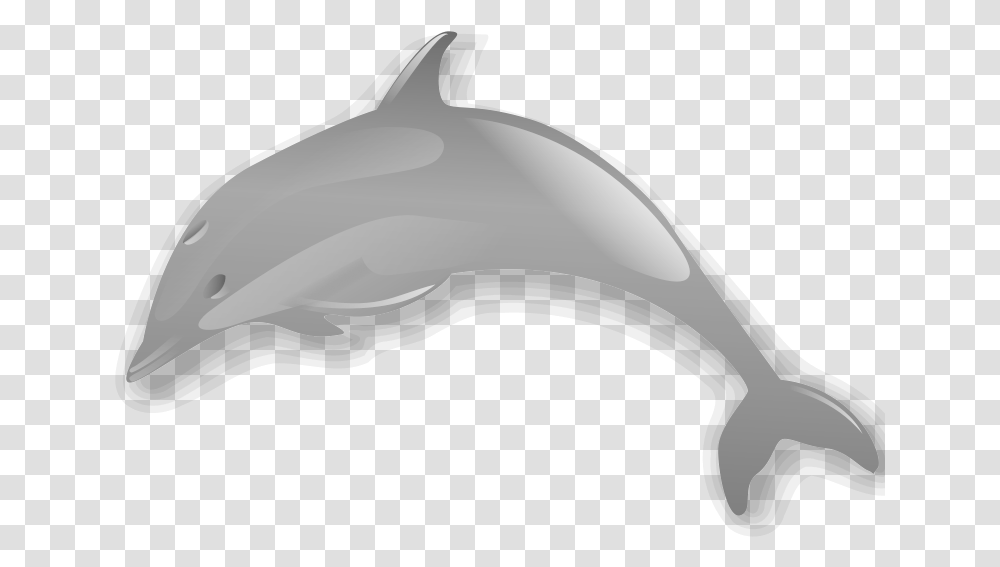 Dolphin Enrique Meza C 02 Clip Art Download Dolphin, Sea Life, Animal, Mammal Transparent Png