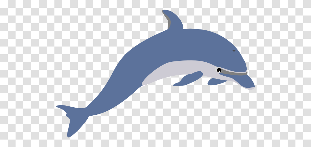 Dolphin Enrique Meza C Dolphin Clipart, Mammal, Animal, Sea Life, Shark Transparent Png