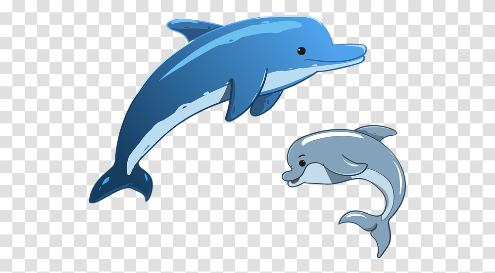 Dolphin Facts 10 Fun Facts About Dolphins Sea Animals Dolphin, Axe, Tool, Mammal, Sea Life Transparent Png
