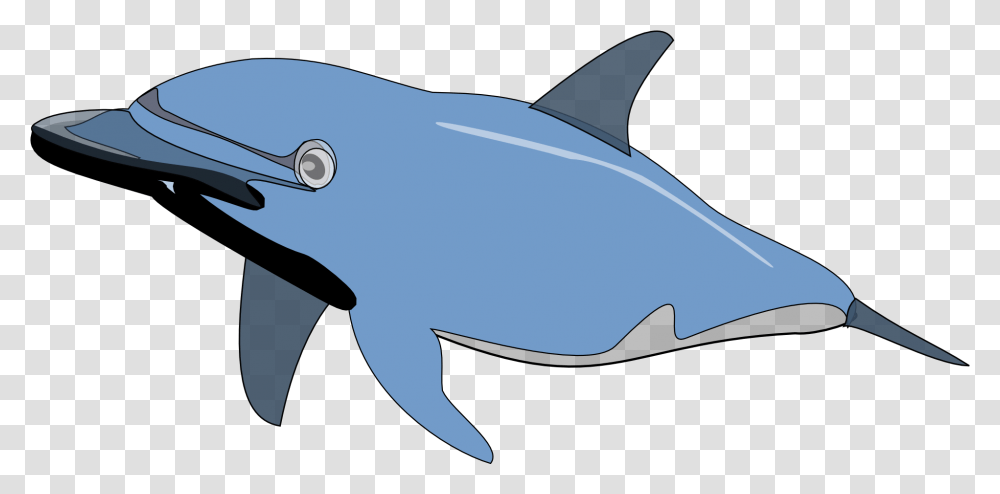 Dolphin Fish Cartoon Clipart Download Dolphin Clip Art, Shark, Sea Life, Animal, Mammal Transparent Png