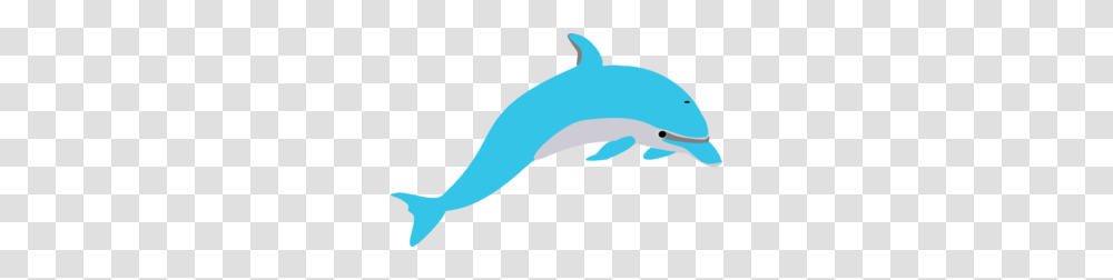 Dolphin Fish Clipart, Sea Life, Animal, Mammal Transparent Png
