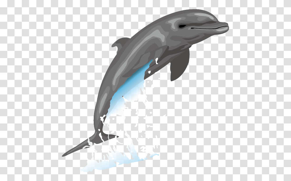 Dolphin Free Content Drawing Clip Art Clip Art, Sea Life, Animal, Mammal, Bird Transparent Png
