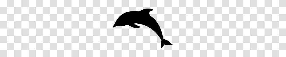 Dolphin Free Images Only, Gray, World Of Warcraft Transparent Png