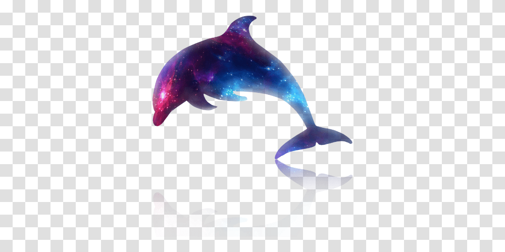 Dolphin Galaxy, Sea Life, Animal, Mammal, Shark Transparent Png