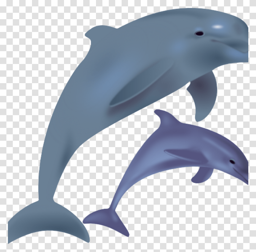 Dolphin Images Dolphin Clipart, Mammal, Sea Life, Animal, Bird Transparent Png