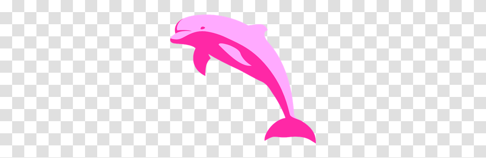 Dolphin Images Icon Cliparts, Mammal, Sea Life, Animal, Axe Transparent Png