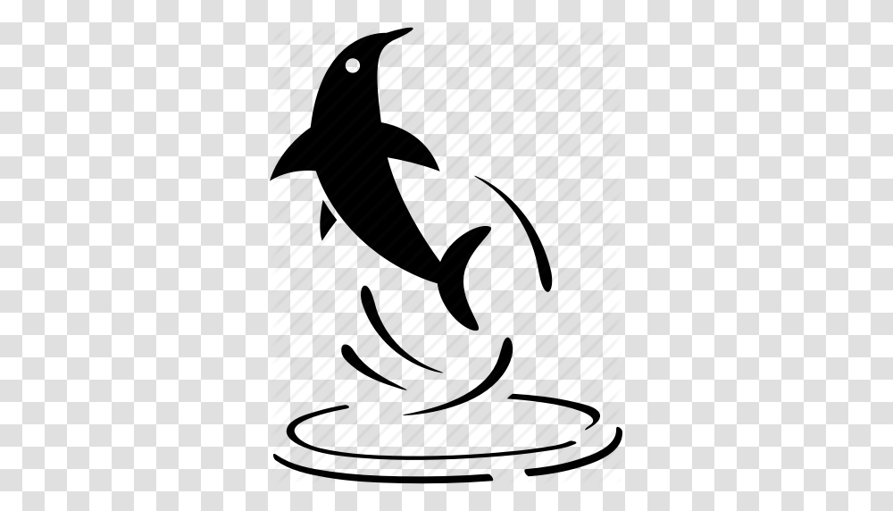 Dolphin Jump Out Jump Up Jumping Performance Water Icon, Piano, Silhouette, Animal, Insect Transparent Png
