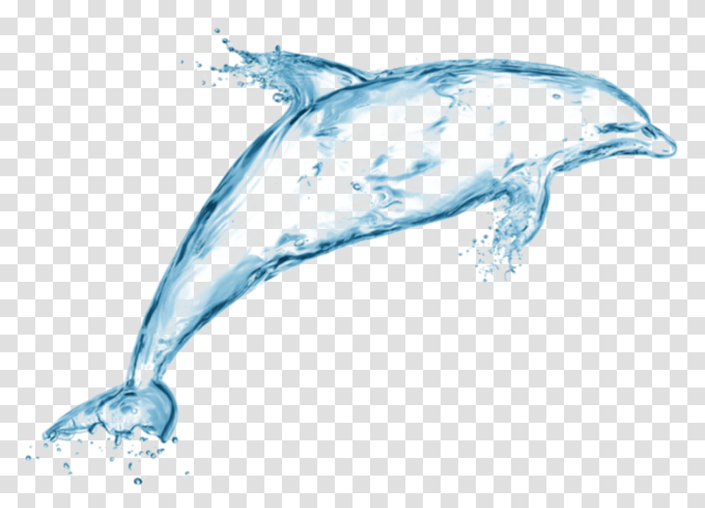 Dolphin Made Of Water, Sea Life, Animal, Bird, Mammal Transparent Png