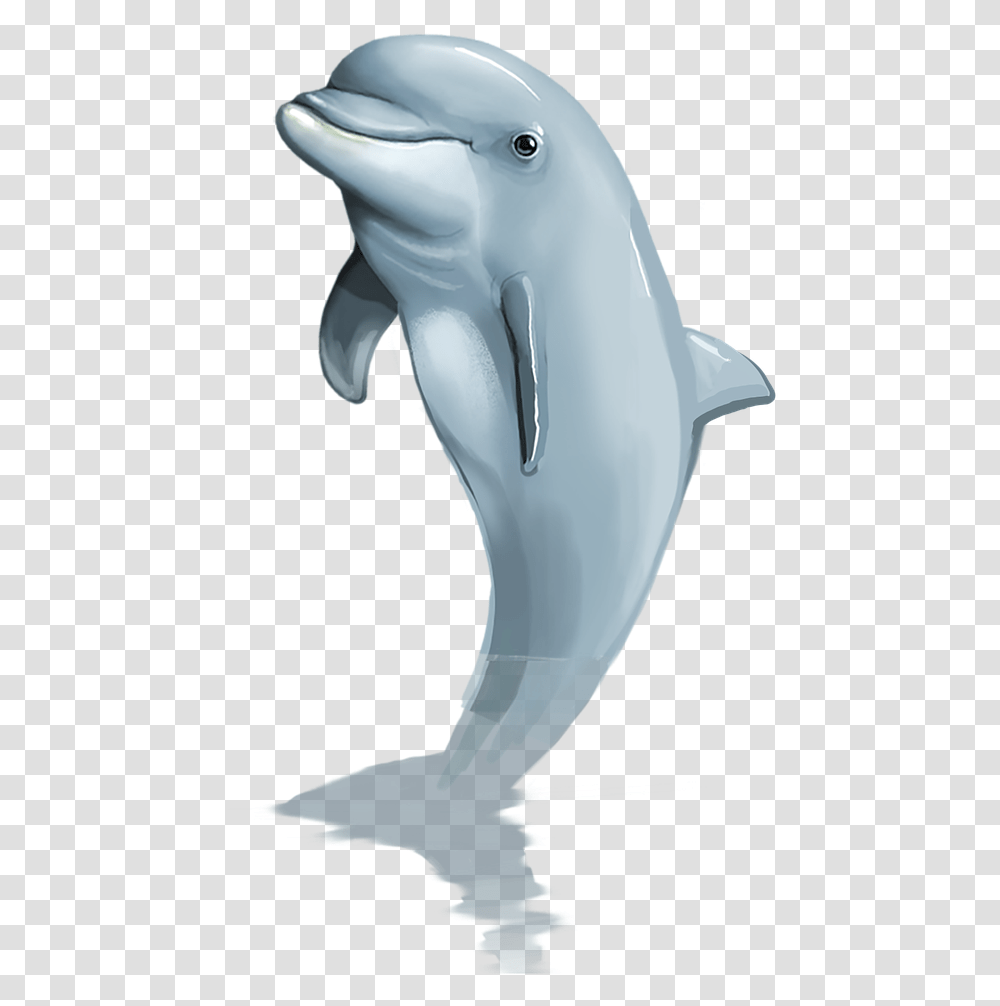 Dolphin Mammal Free Picture Dolphin Jumping, Sea Life, Animal, Bird, Beluga Whale Transparent Png