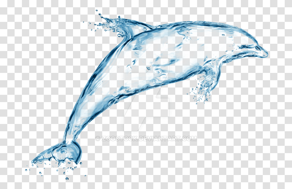 Dolphin Of Water On A Background By Zoostock Water Dolphin, Sea Life, Animal, Mammal, Bird Transparent Png
