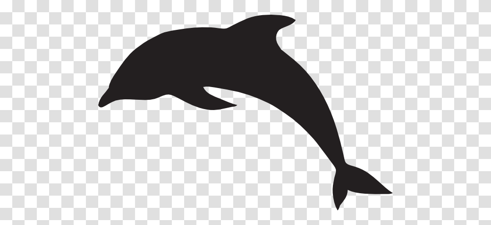 Dolphin Outline, Sea Life, Animal, Mammal, Whale Transparent Png