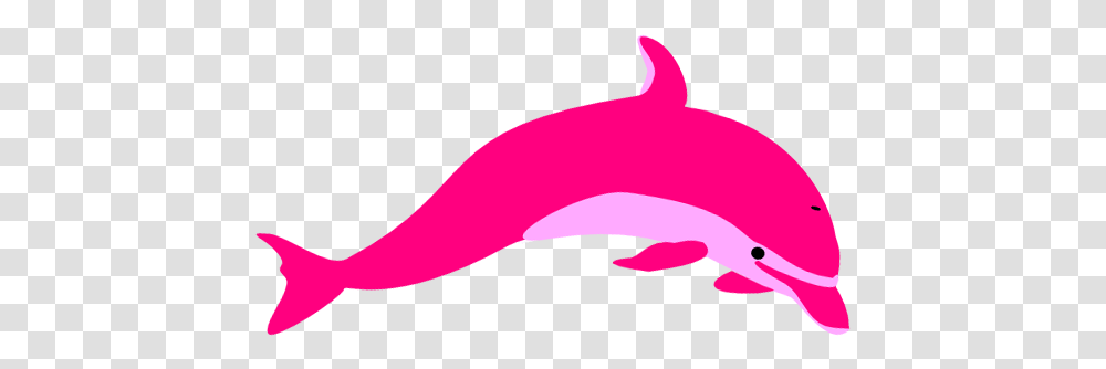 Dolphin Pink Dolphin Cartoon Dolphin, Mammal, Sea Life, Animal, Whale Transparent Png