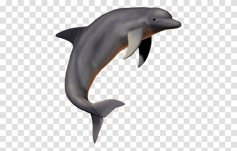 Dolphin Pngfish Pngpicsartallpng Dolphin No Background, Mammal, Sea Life, Animal, Person Transparent Png