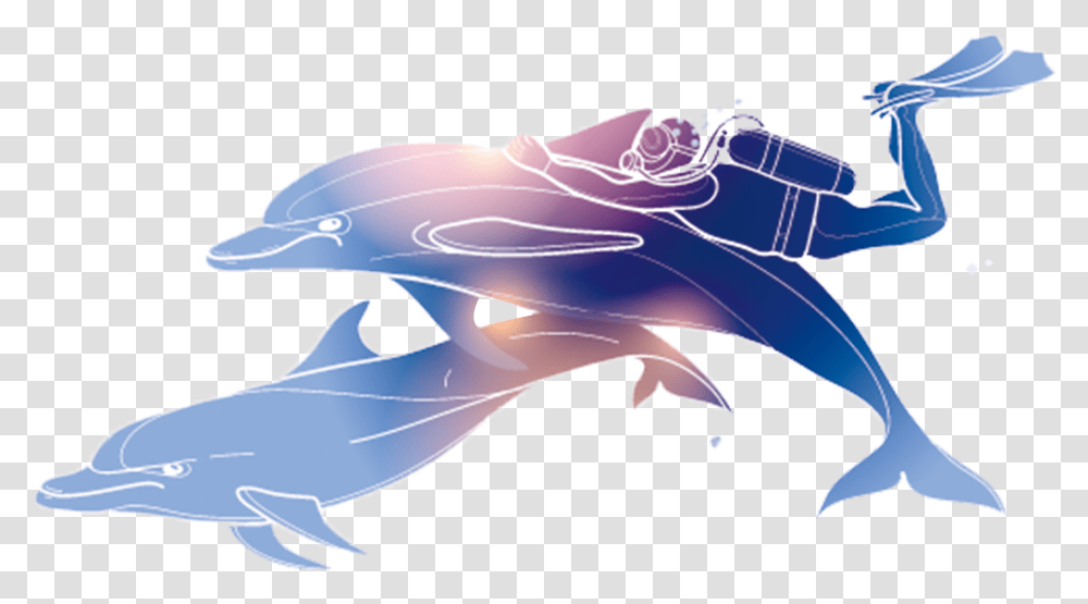 Dolphin Poster Diving, Animal, Mammal, Sea Life, Whale Transparent Png