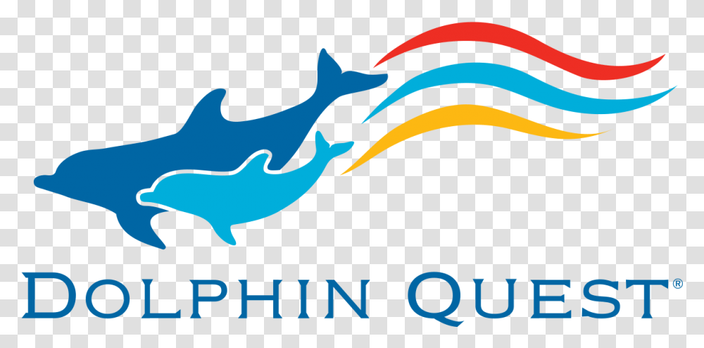 Dolphin Quest Dolphin Quest Hawaii Logo, Mammal, Animal, Sea Life, Whale Transparent Png
