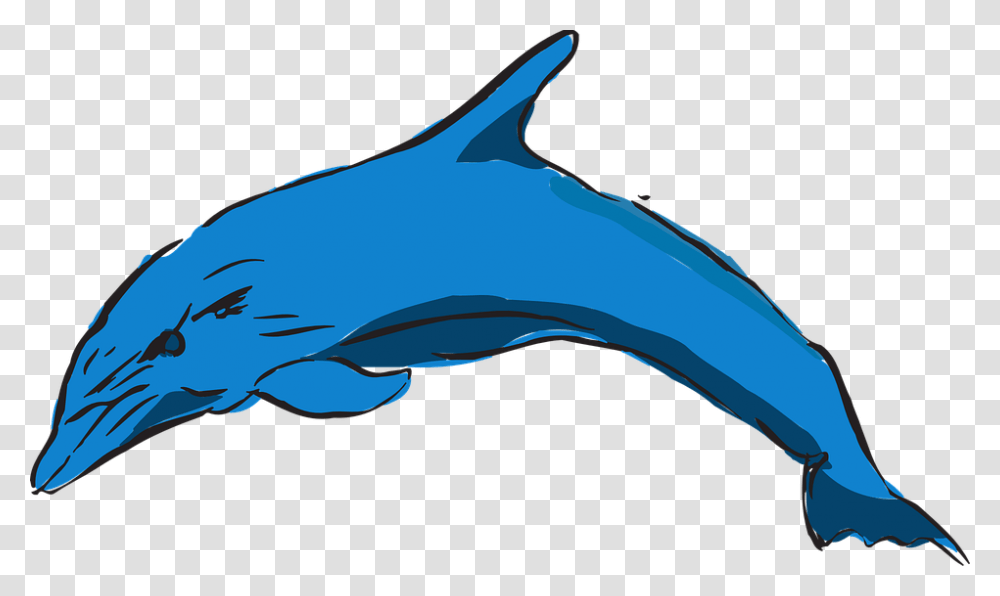 Dolphin, Sea Life, Animal, Mammal, Shark Transparent Png