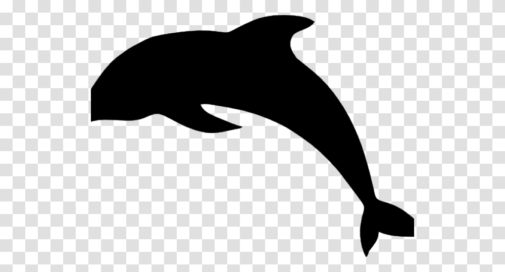 Dolphin Shadows, Sea Life, Animal, Mammal, Bow Transparent Png
