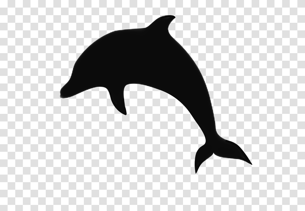 Dolphin Silhouette Animal Dolphinsticker Freetoedit Silhouette Dolfijn, Mammal, Sea Life, Orca, Killer Whale Transparent Png