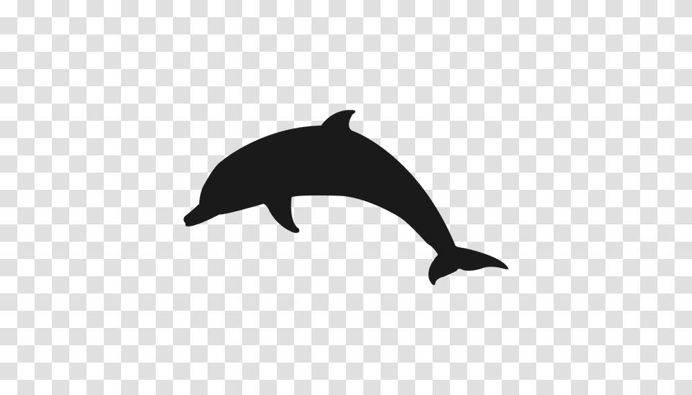 Dolphin Silhouette, Mammal, Sea Life, Animal, Bird Transparent Png