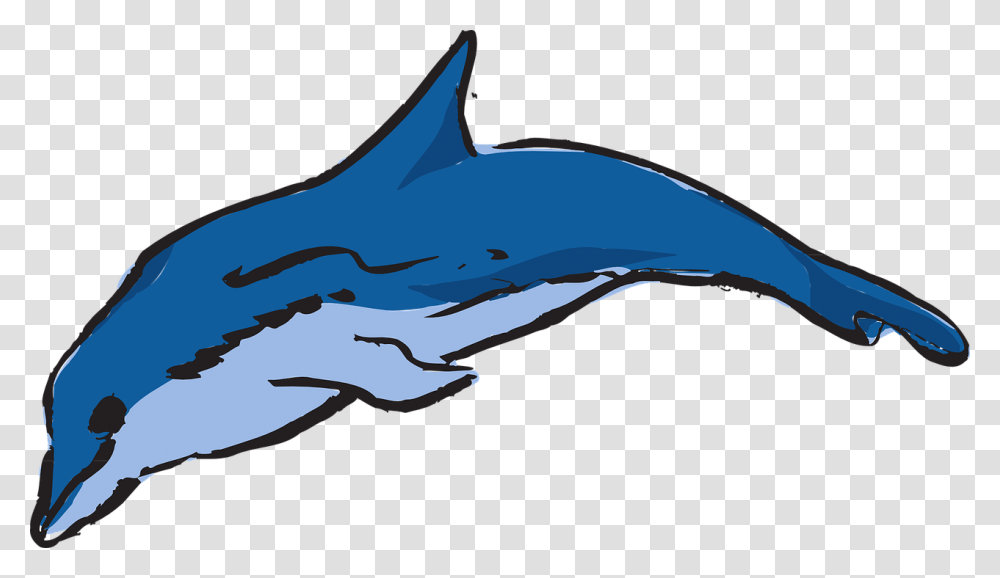 Dolphin Vector Dolphin Ocean Leaping Warna Ikan Lumba Lumba, Sea Life, Animal, Mammal, Bird Transparent Png